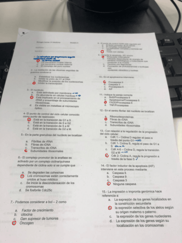 Miniatura del documento Bloc-de-notas-sin-titulo.pdf