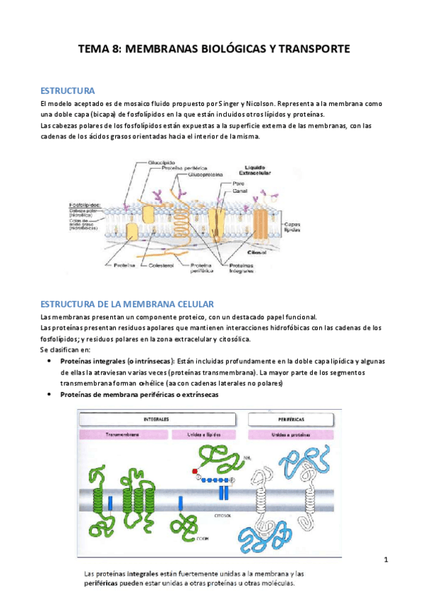 Miniatura del documento TEMA-1.pdf