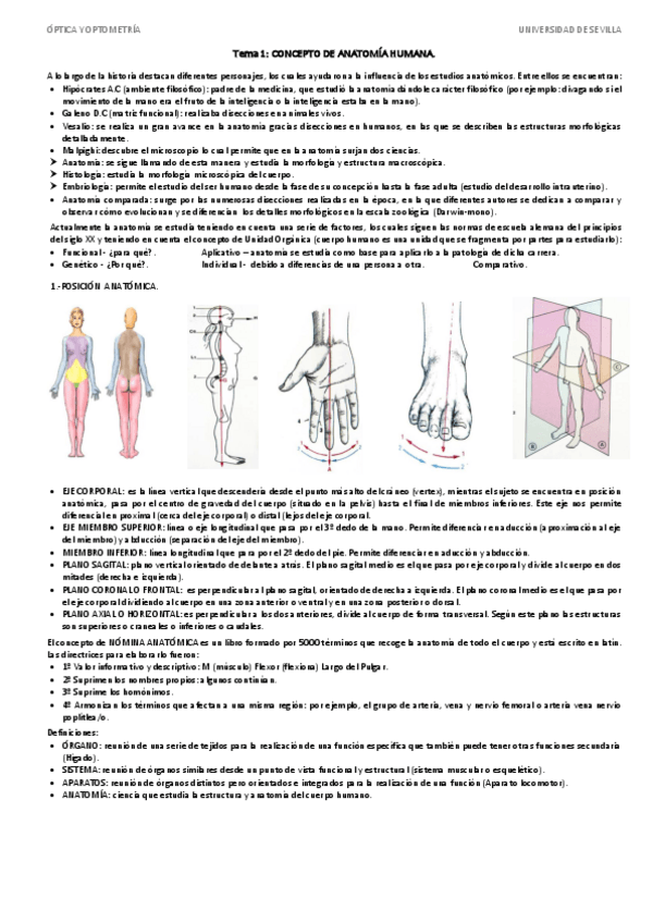 Miniatura del documento Anatomia-temas-1-23.pdf
