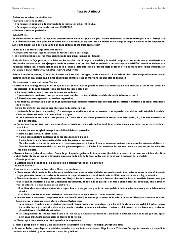 Miniatura del documento Anatomia-temas-24-41.pdf