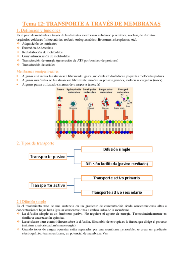 Miniatura del documento BQ-apuntes-tema-12-.pdf
