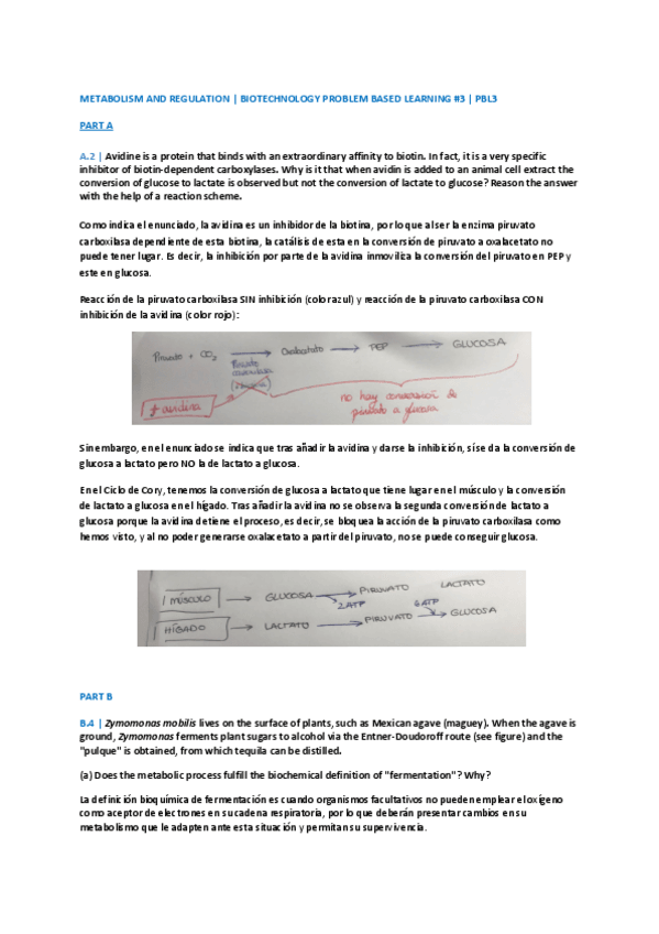 Miniatura del documento PBL3-.pdf