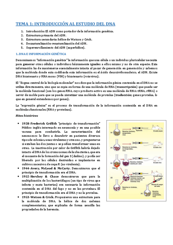 Miniatura del documento TEMA 1- INTRODUCCIÓN.pdf