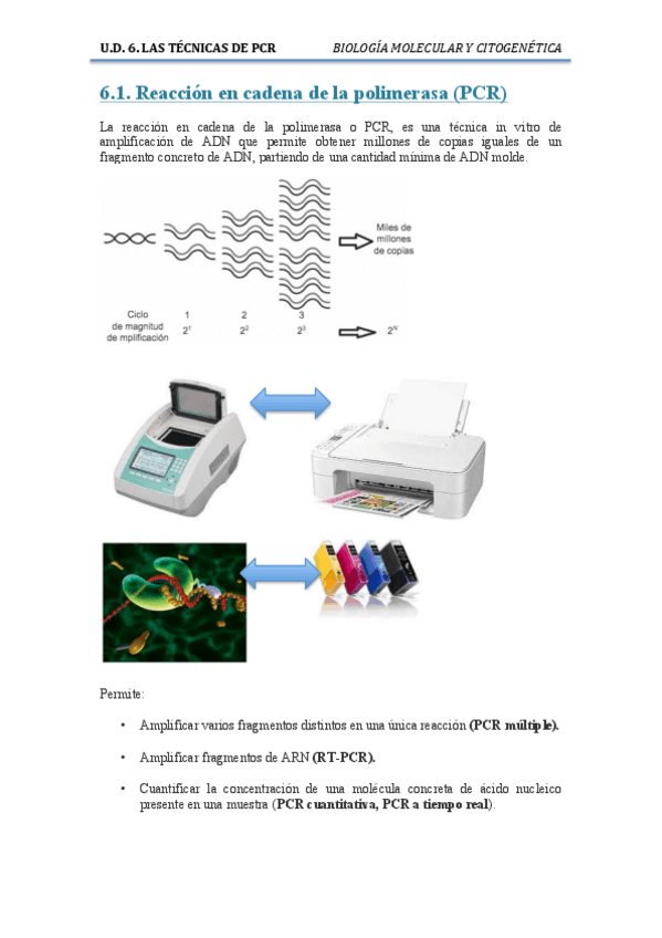 Miniatura del documento T6-Las-tecnicas-de-PCR.pdf