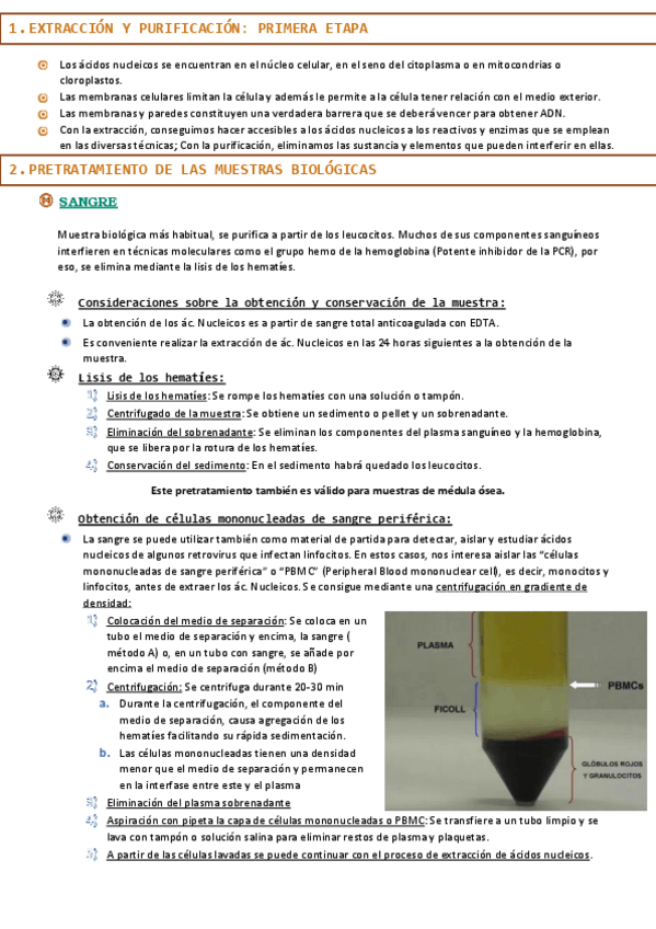 Miniatura del documento RESUMEN-BIOLOGIA-TEMA-3-Preparacion-del-ADN-en-el-Laboratorio.pdf
