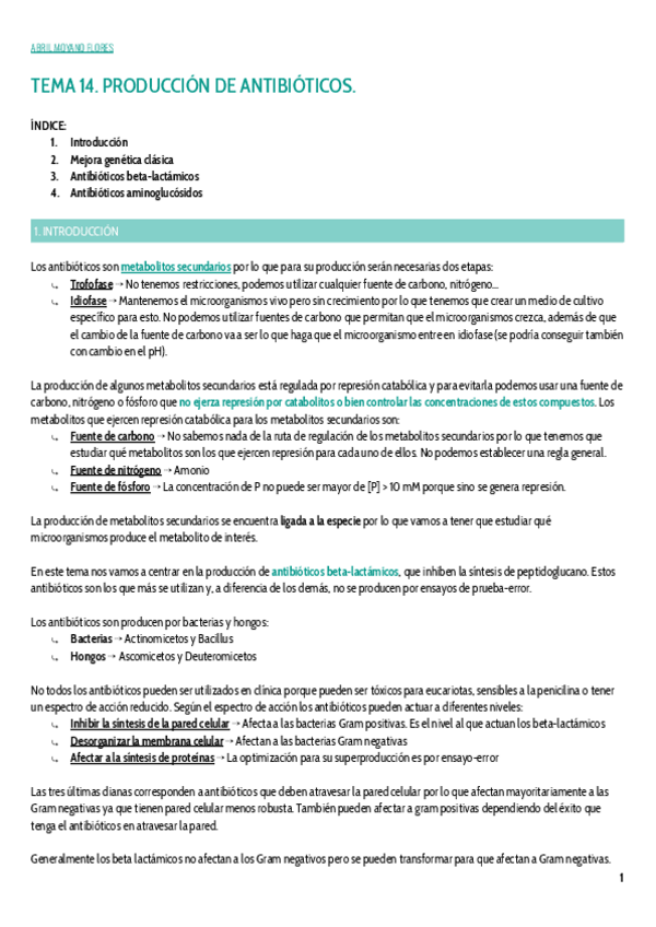 Miniatura del documento TEMA-14.pdf