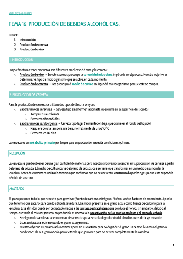 Miniatura del documento TEMA-16.pdf