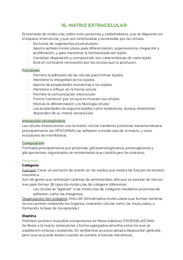 Miniatura del documento Copia-de-16.pdf