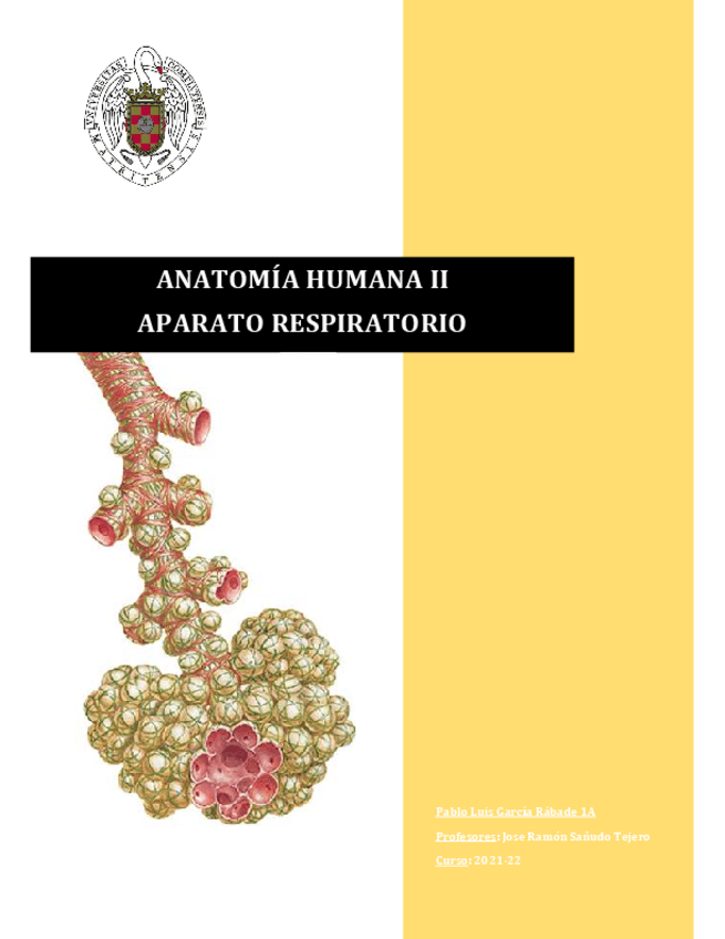 Miniatura del documento Respiratorio-Anato.pdf