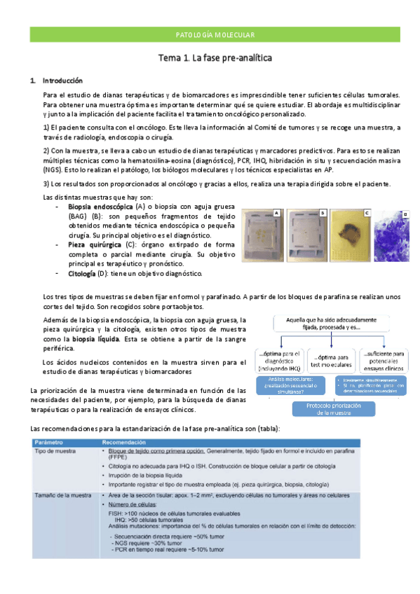Miniatura del documento Apuntes-PM.pdf
