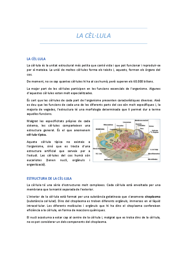 Miniatura del documento LA CÈL.LULA 1.pdf
