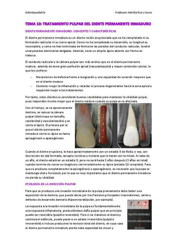 Miniatura del documento TEMA-10.pdf