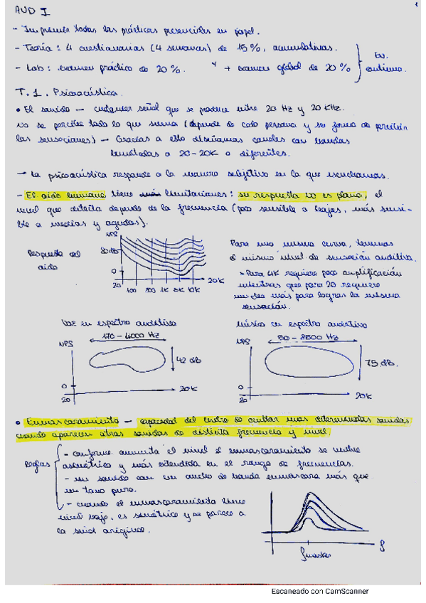Miniatura del documento audioI.pdf