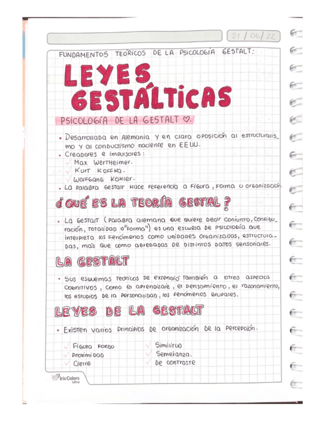 Miniatura del documento LEYES-GESTALICAS.pdf