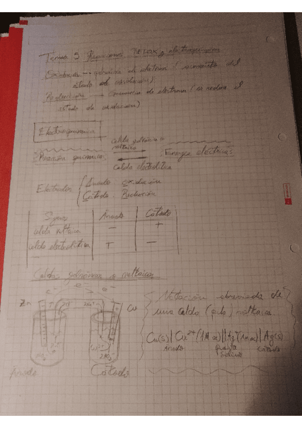 Miniatura del documento Redox-en-2-paginas-solo.pdf
