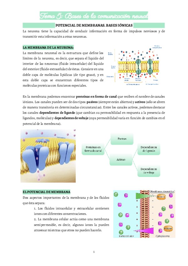 Miniatura del documento 5.pdf