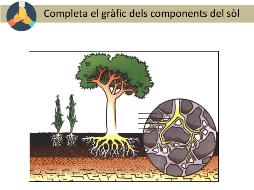 Miniatura del documento T4Components-minerals2020.pdf