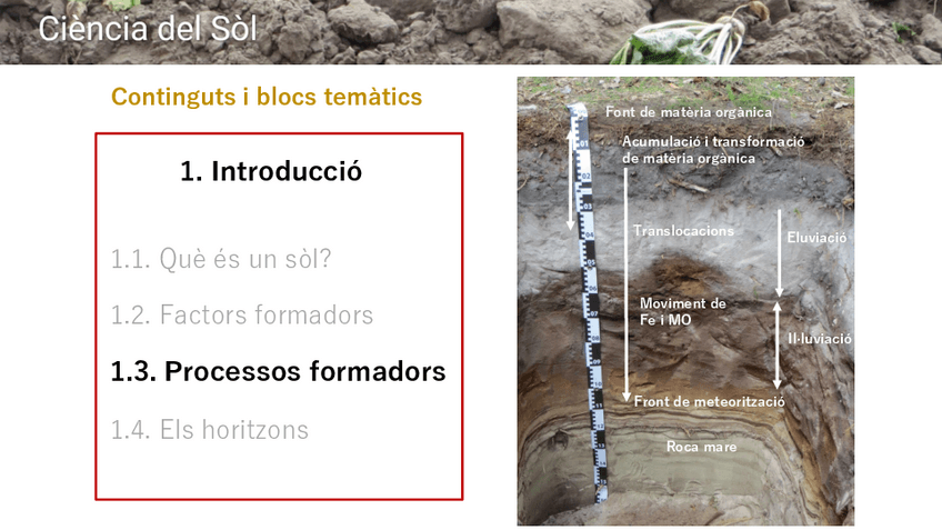 Miniatura del documento T1Processosformadors2122.pdf