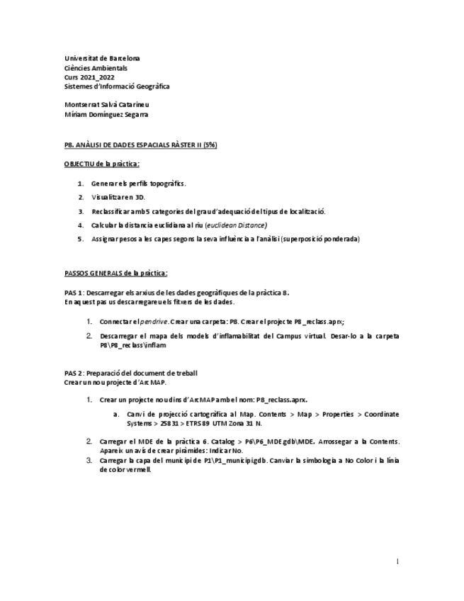 Miniatura del documento P8.pdf
