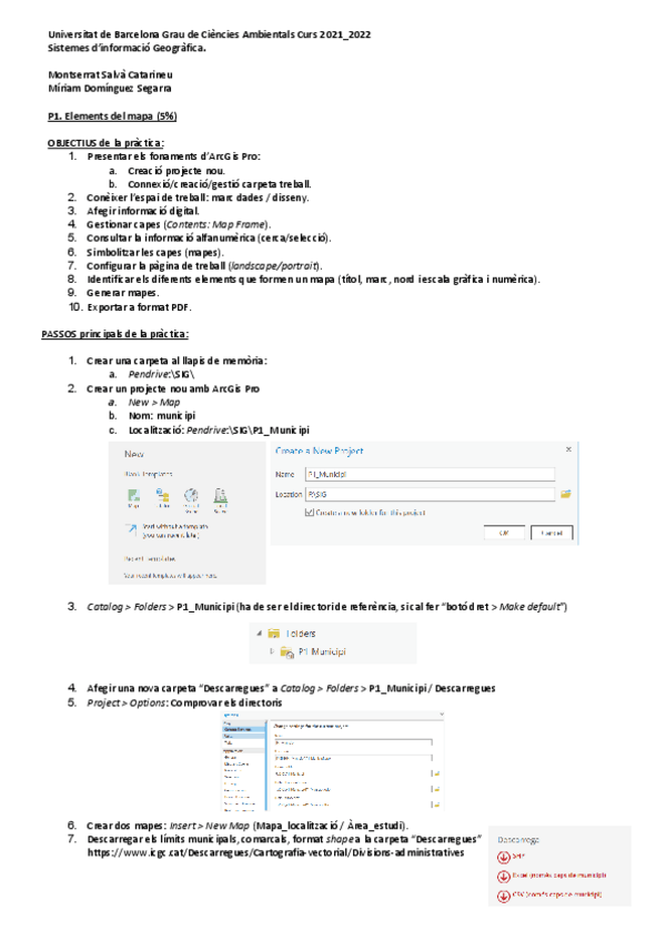 Miniatura del documento P1.pdf