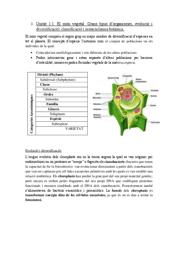 Miniatura del documento Apuntsbotanicaacabatss.pdf