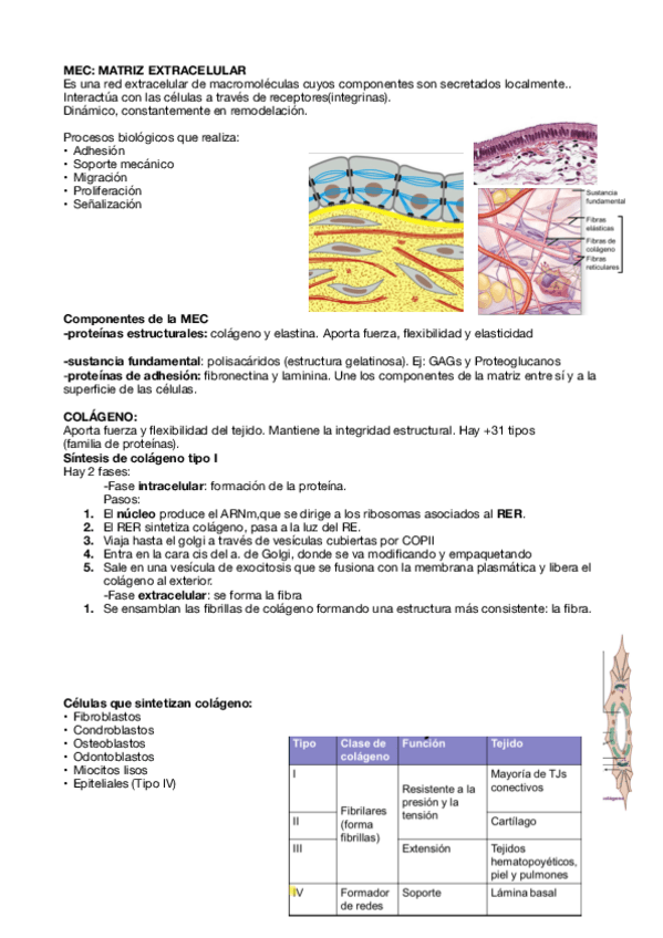 Miniatura del documento T4-Contexto-social-celula-.pdf