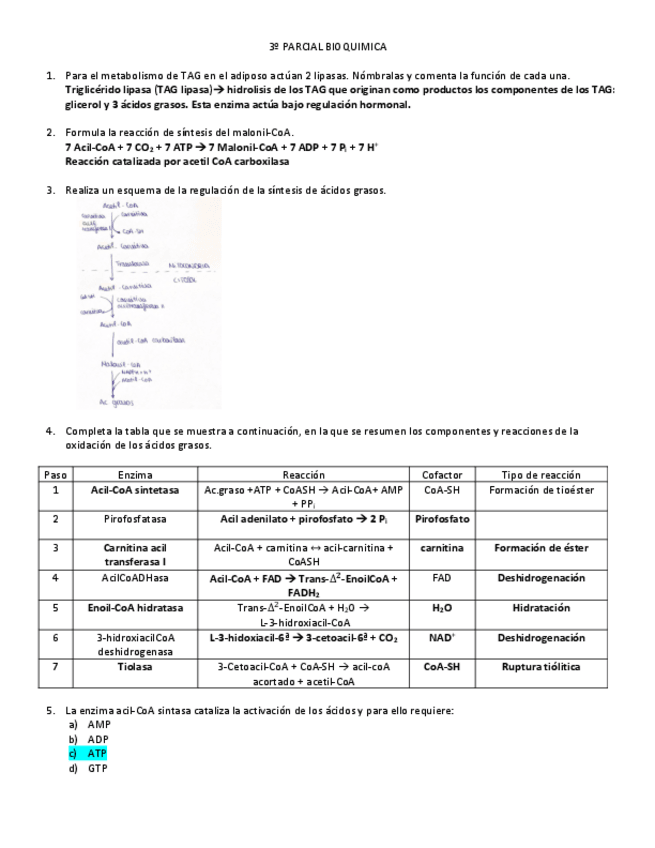 Miniatura del documento 3o-PARCIAL-BIOQUIMICA.pdf