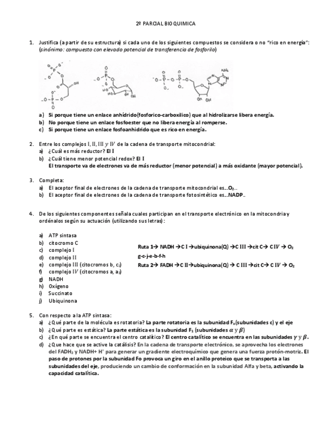 Miniatura del documento 2o-PARCIAL-BIOQUIMICA.pdf