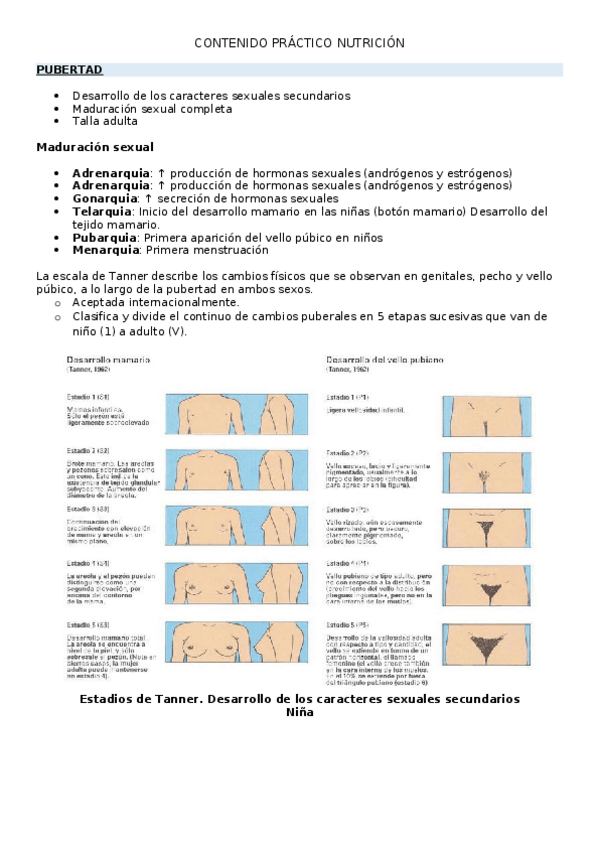Miniatura del documento Practico-nutricion-bueno.docx
