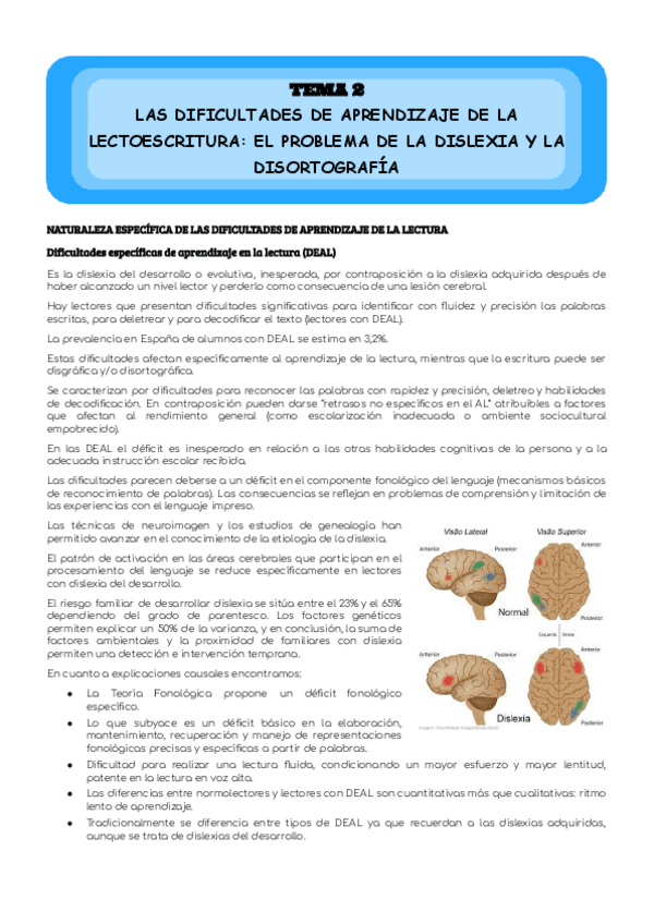 Miniatura del documento Dislexia-T2.pdf