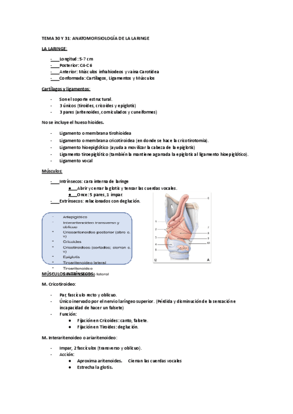 Miniatura del documento TEMAS-30-Y-31.pdf