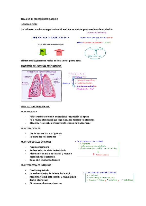 Miniatura del documento TEMA-32.pdf