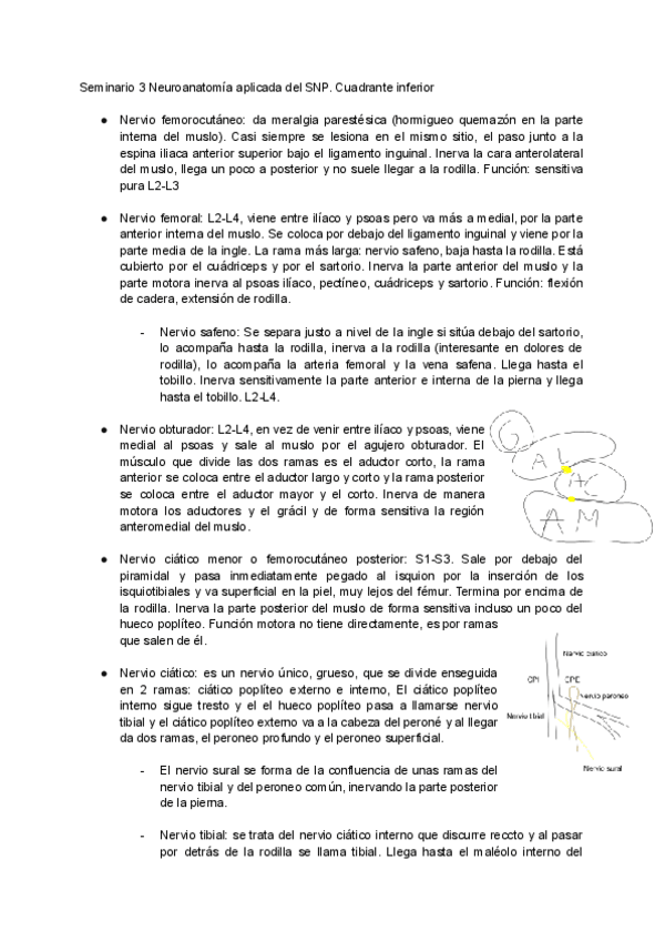Miniatura del documento Seminario-3-Neuroanatomia-aplicada-del-SNP.pdf
