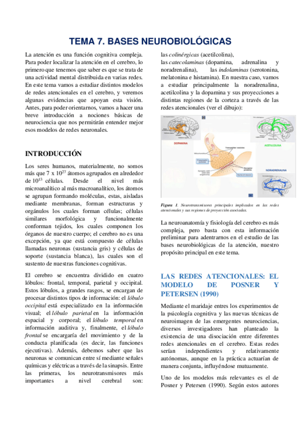 Miniatura del documento TEMA-7-ATENCION.pdf