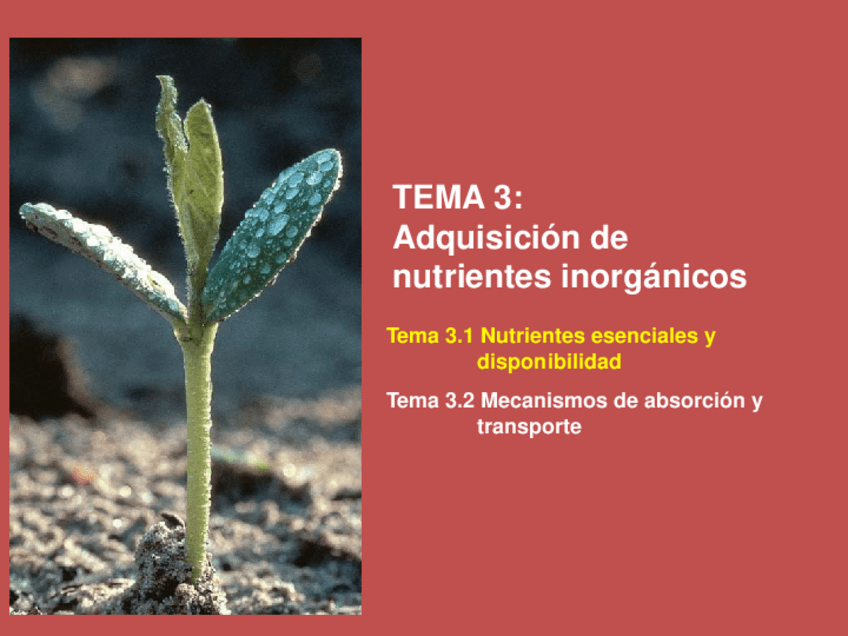 Miniatura del documento Tema-3.pdf