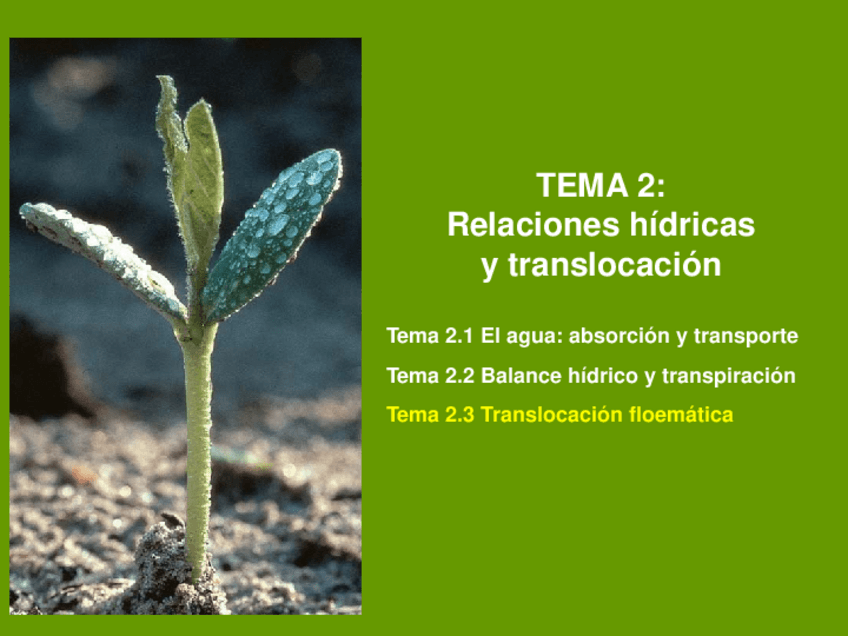 Miniatura del documento Tema-2.pdf