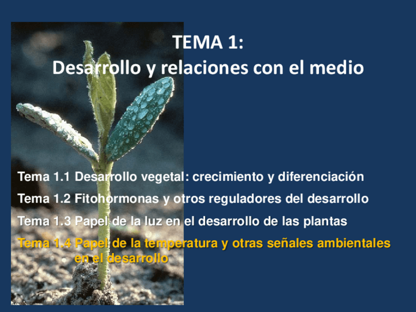 Miniatura del documento Tema-1.pdf