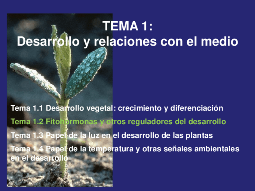 Miniatura del documento Tema-1.pdf