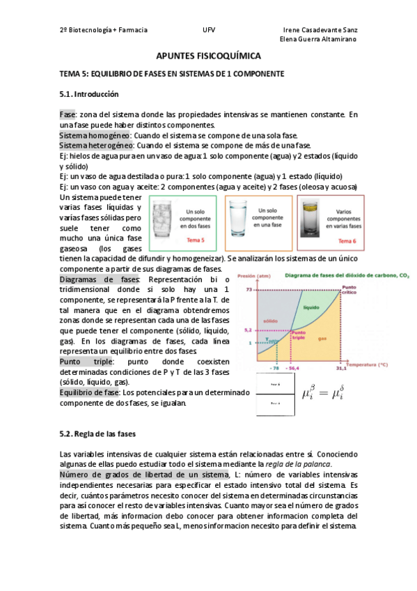 Miniatura del documento T5.pdf