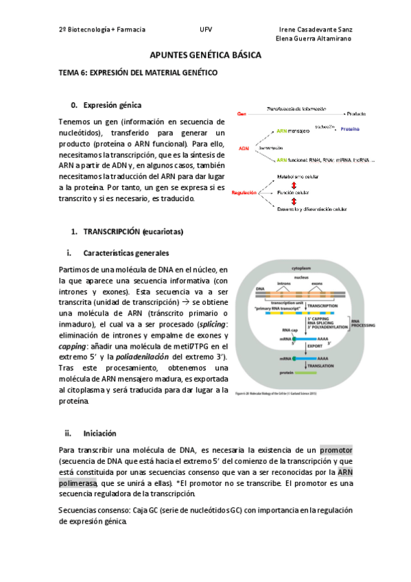 Miniatura del documento T6.pdf