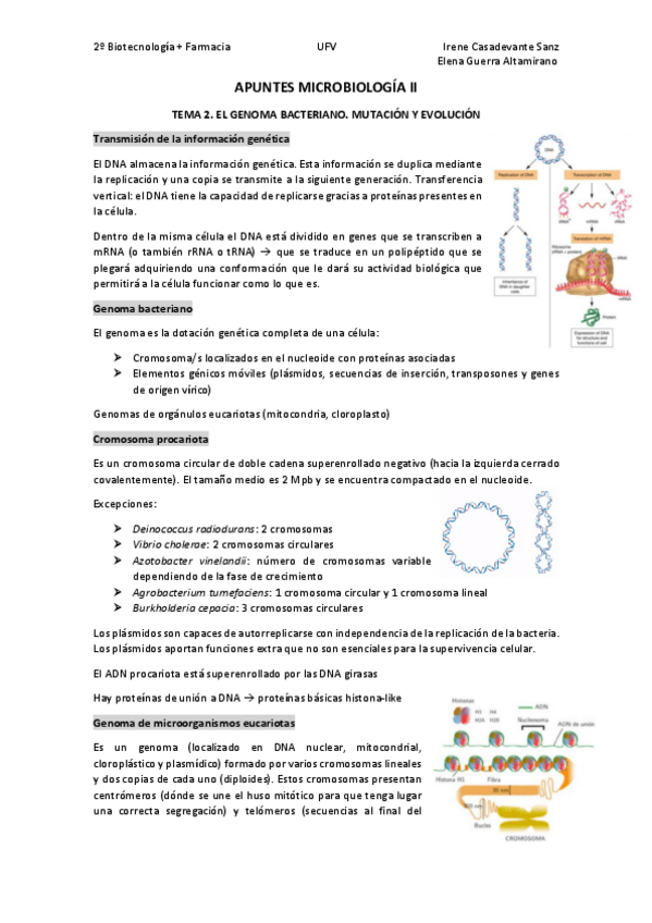 Miniatura del documento T2.pdf