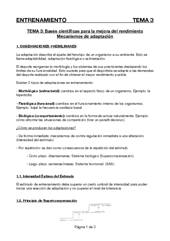 Miniatura del documento TEMA-3-ENTRENAMIENTO.pdf