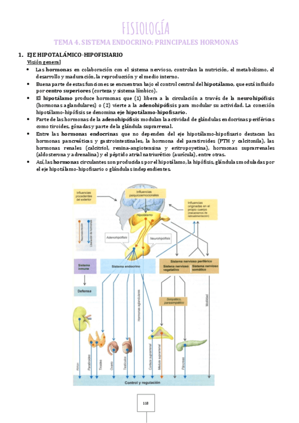 Miniatura del documento 4.pdf