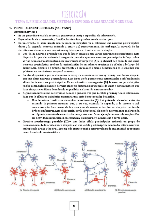 Miniatura del documento 3.pdf