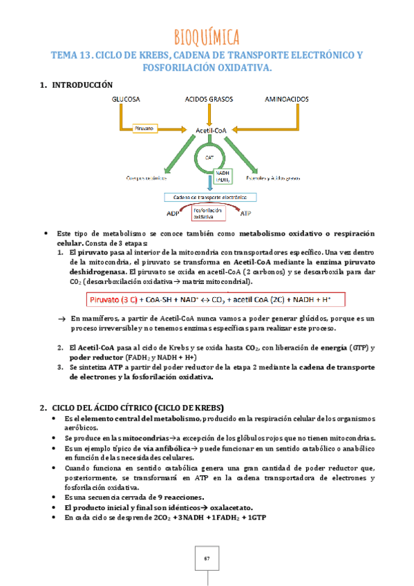 Miniatura del documento Tema-13.pdf