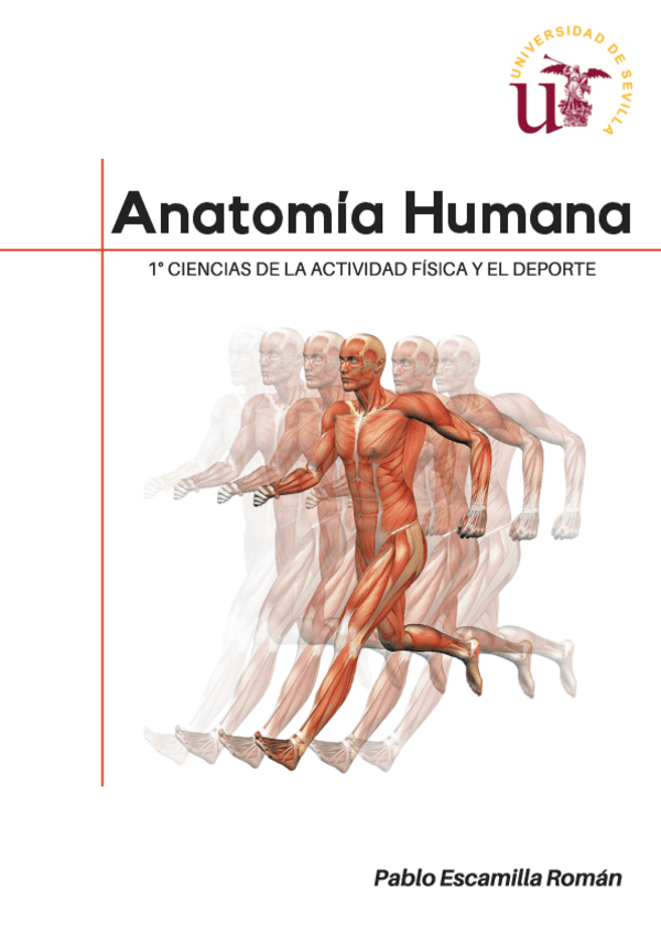 Miniatura del documento TEMARIO-ANATOMIA-HUMANA.pdf