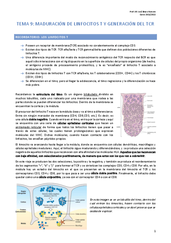 Miniatura del documento Tema-9.pdf