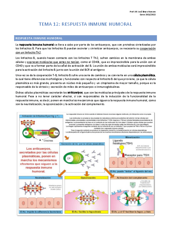 Miniatura del documento Tema-12.pdf