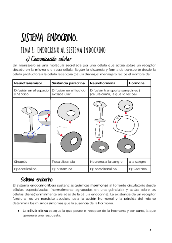 Miniatura del documento 5-SISTEMA-ENDOCRINO.pdf