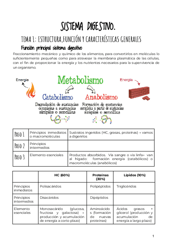 Miniatura del documento 4-SISTEMA-DIGESTIVO.pdf